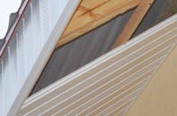 rated Swanborough soffit repair companies